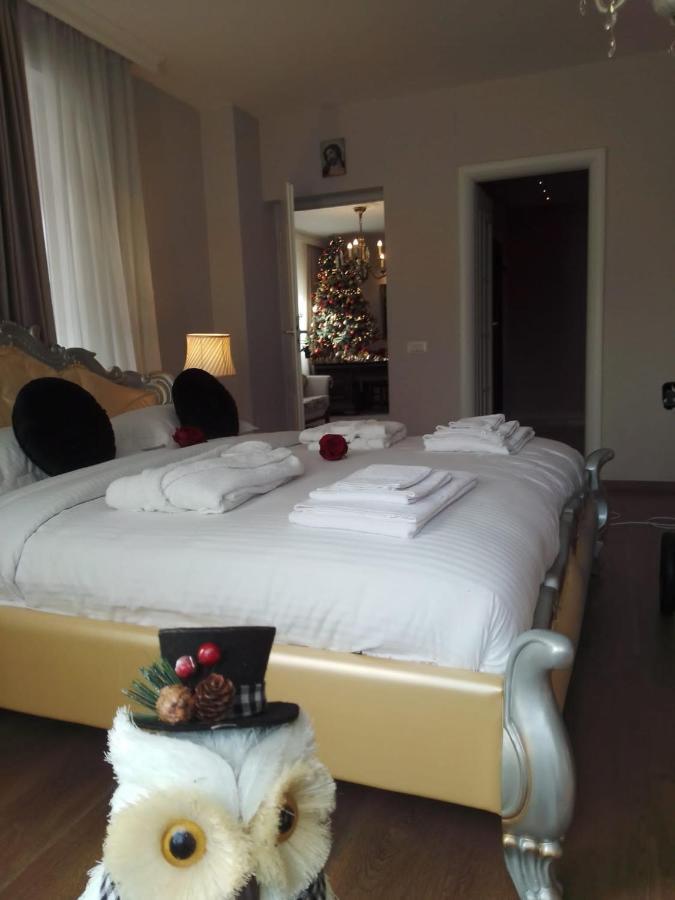 Casa Maria Roses Hotel Rîşnov Esterno foto