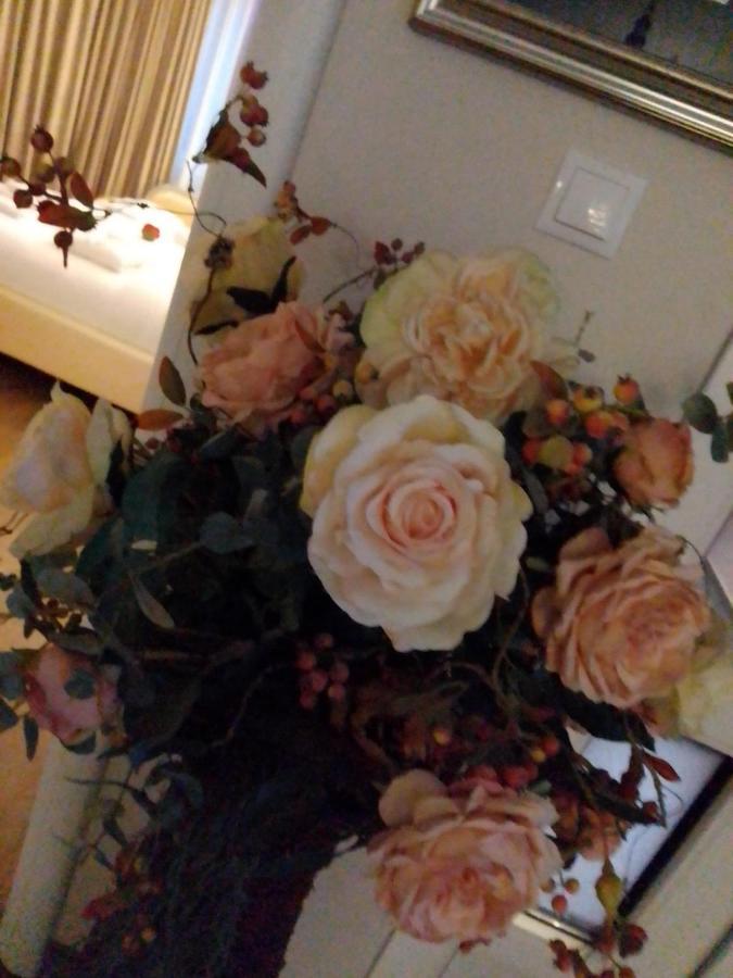 Casa Maria Roses Hotel Rîşnov Esterno foto