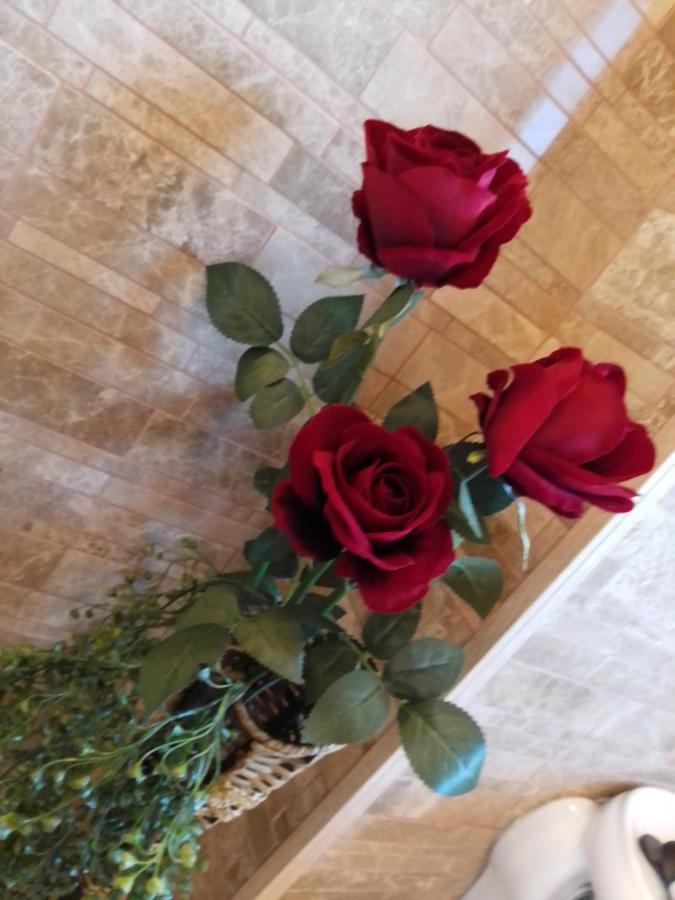 Casa Maria Roses Hotel Rîşnov Esterno foto