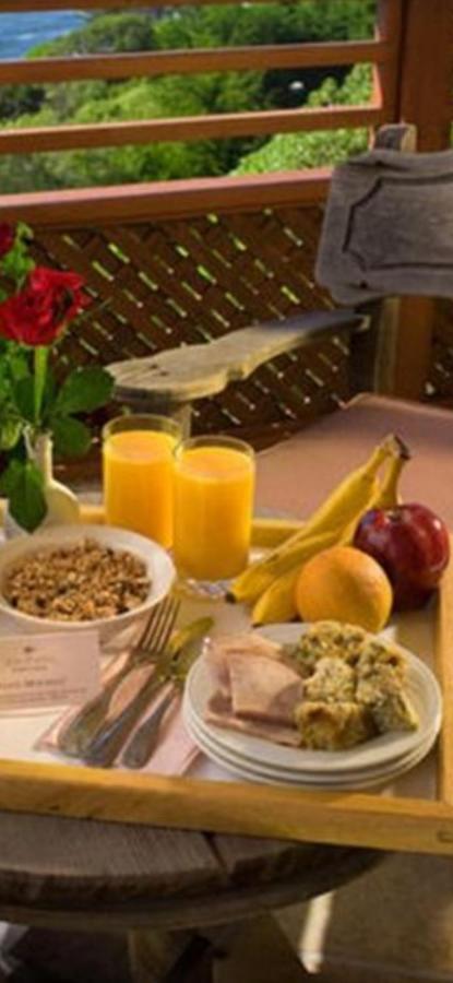 Casa Maria Roses Hotel Rîşnov Esterno foto