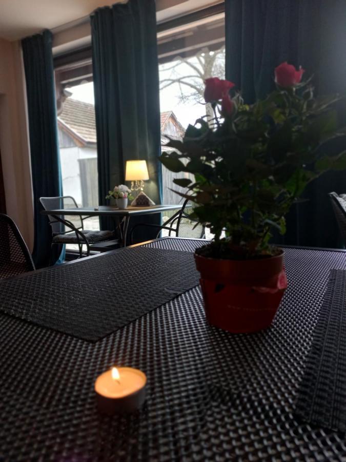 Casa Maria Roses Hotel Rîşnov Esterno foto