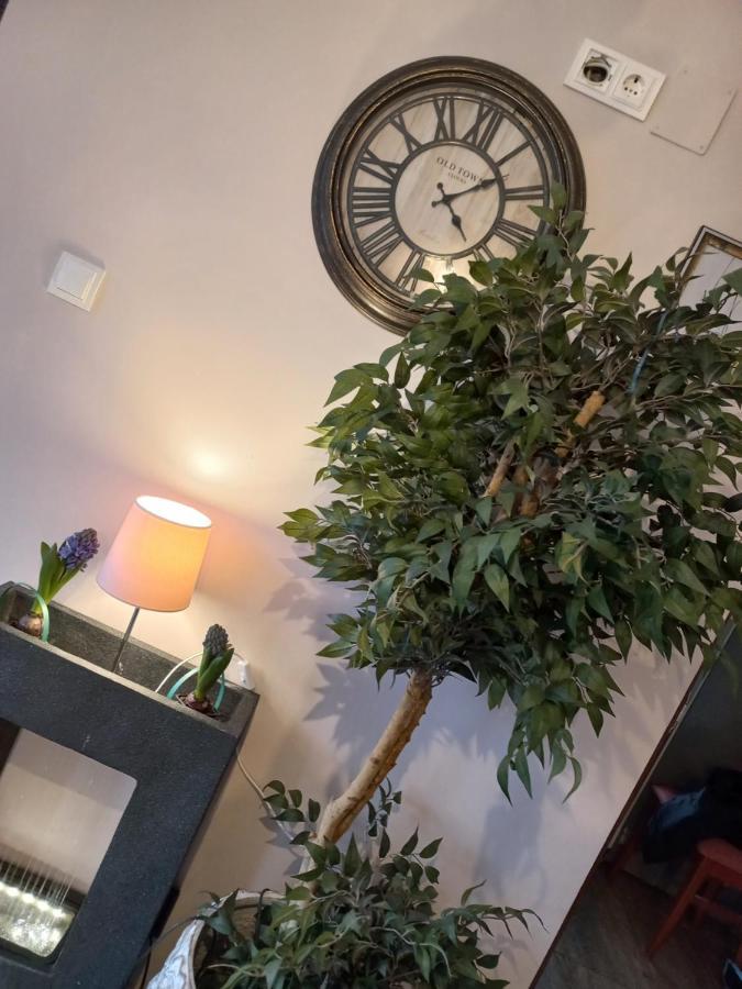 Casa Maria Roses Hotel Rîşnov Esterno foto