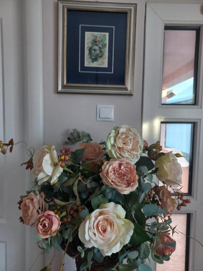 Casa Maria Roses Hotel Rîşnov Esterno foto