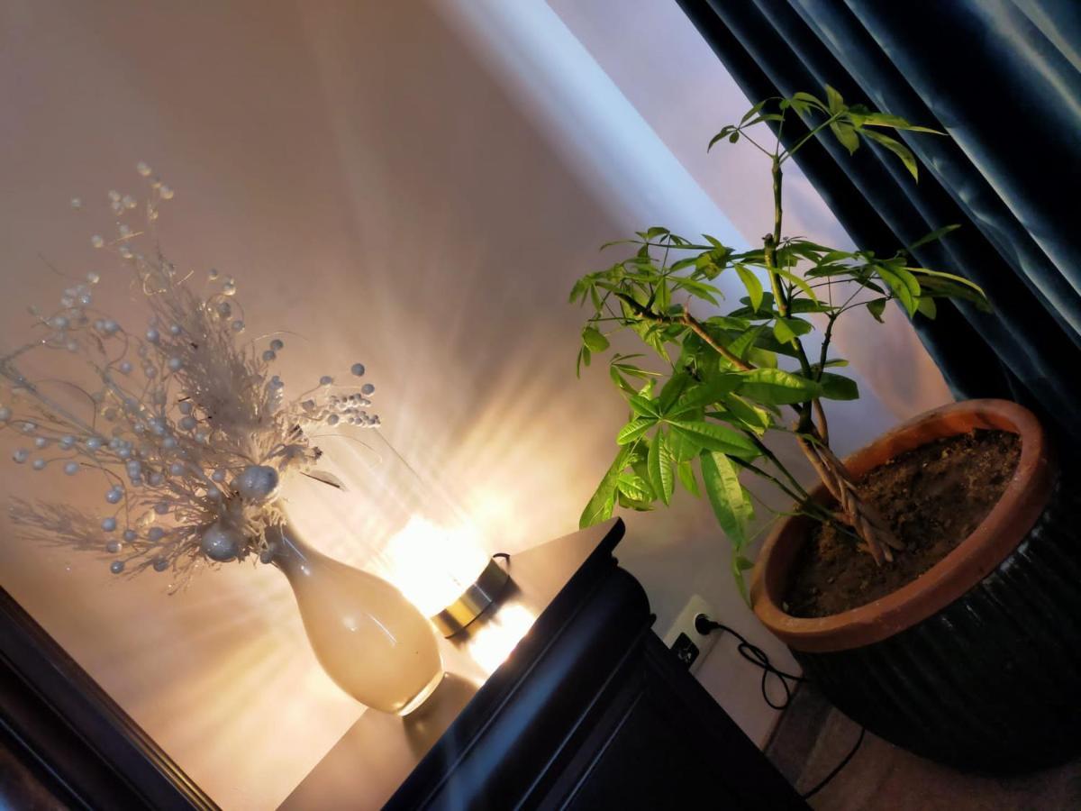 Casa Maria Roses Hotel Rîşnov Esterno foto