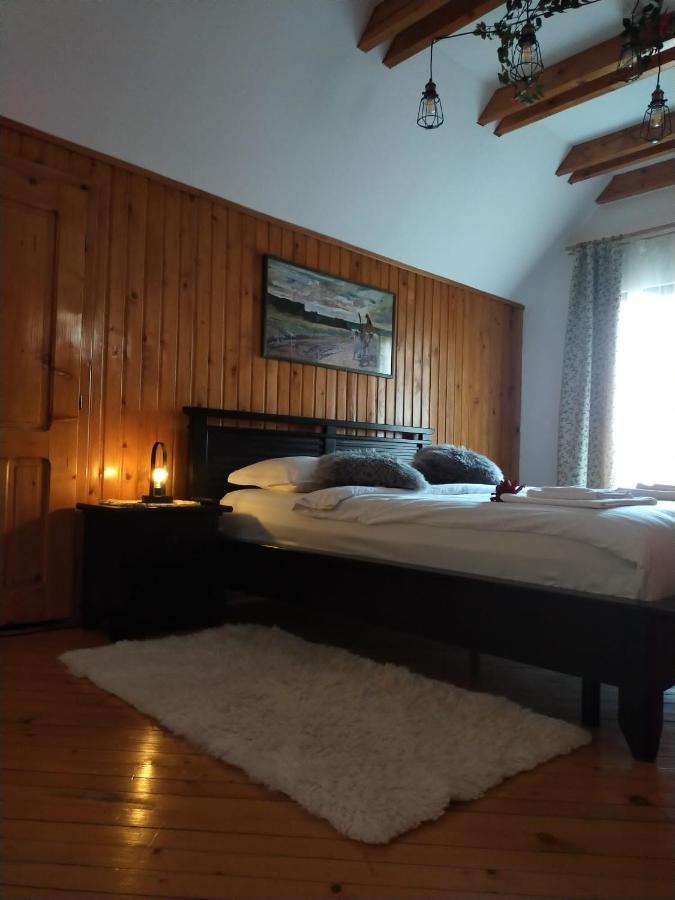 Casa Maria Roses Hotel Rîşnov Esterno foto