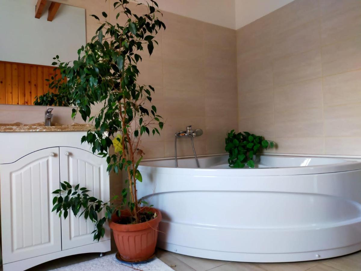 Casa Maria Roses Hotel Rîşnov Esterno foto